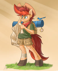 Size: 2200x2700 | Tagged: safe, artist:kaylerustone, oc, oc only, oc:kayle rustone, bird, anthro, unguligrade anthro, bag, cowboy hat, grass, hat, high res, looking down, male, map, simple background, stallion