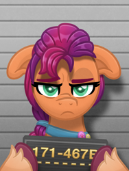 Size: 3000x4000 | Tagged: safe, artist:sol-r, sunny starscout, earth pony, pony, g5, my little pony: a new generation, absurd file size, female, floppy ears, frown, grumpy, high res, mare, mugshot, solo, sunny starscout is not amused, unamused