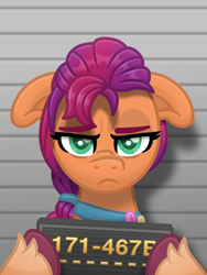 Size: 3000x4000 | Tagged: safe, alternate version, artist:sol-r, sunny starscout, earth pony, pony, g5, my little pony: a new generation, floppy ears, grumpy, mugshot, solo, sunny starscout is not amused