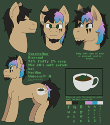 Size: 2013x2299 | Tagged: safe, artist:brushwork, oc, oc:caramello, pony, high res, reference sheet