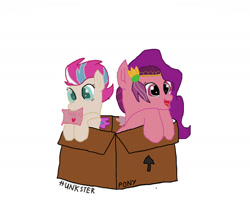 Size: 1280x1114 | Tagged: safe, artist:hunkster, pipp petals, zipp storm, pegasus, pony, g5, my little pony: a new generation, box, duo, female, mouth hold, pony in a box, sign, simple background, white background