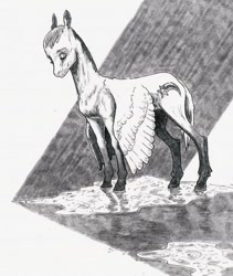 Size: 842x1000 | Tagged: safe, artist:adeptus-monitus, oc, oc only, pegasus, pony, puddle, rain, solo, water, wet, wet mane, wings, wings down