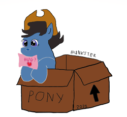 Size: 4043x3723 | Tagged: safe, artist:hunkster, oc, oc only, pony, box, cowboy, hat, pony in a box, pony oc, simple background, solo, white background