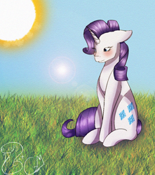 Size: 900x1020 | Tagged: safe, artist:fixielle, artist:greenmarta, rarity, pony, unicorn, g4, collaboration, female, grass, lens flare, sitting, solo, steppe