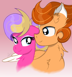 Size: 3270x3480 | Tagged: safe, artist:thepinkbirb, oc, oc only, oc:adustioflare, oc:skywatcher, pegasus, pony, birb, chest fluff, couple, ear fluff, female, high res, looking at each other, looking at someone, male, mare, oc x oc, shipping, simple background, skywatcherxadustioflare, stallion