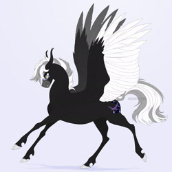 Size: 1920x1920 | Tagged: safe, artist:dementra369, oc, oc only, oc:midnight serenity, pegasus, pony, ear fluff, glasses, simple background, solo, spread wings, tail, two toned mane, two toned tail, unshorn fetlocks, wings