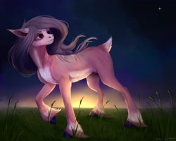 Size: 2560x2048 | Tagged: safe, artist:miurimau, oc, oc only, pony, high res, looking back, night, outdoors, solo, unshorn fetlocks