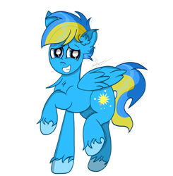 Size: 2984x3040 | Tagged: safe, artist:thepinkbirb, oc, oc only, oc:spectrumlight, pegasus, pony, blue eyes, chest fluff, digital art, ear fluff, folded wings, full body, grin, high res, male, nervous, nervous smile, pegasus oc, raised hoof, raised leg, signature, simple background, smiling, solo, stallion, tail, two toned mane, two toned tail, unshorn fetlocks, white background, wings