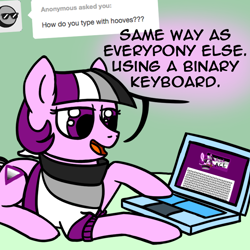 Size: 800x800 | Tagged: safe, artist:thedragenda, oc, oc:ace, earth pony, pony, ask-acepony, computer, female, keyboard, laptop computer, lying down, mare, prone, solo