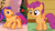 Size: 1280x720 | Tagged: safe, artist:megalobronia, screencap, scootaloo, scootaloo (g3), g3, g4, meet the ponies, on your marks, scootaloo's outdoor play party, comparison, cropped, cute, cutealoo, g3 cutealoo, g3 to g4, generation leap