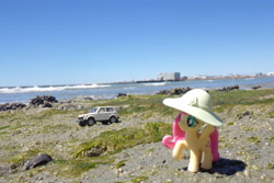 Size: 4608x3072 | Tagged: safe, artist:dingopatagonico, fluttershy, pony, g4, hat, irl, lada, photo, solo, toy