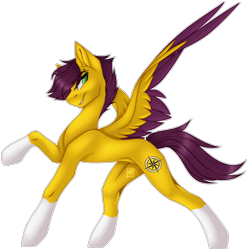 Size: 2454x2473 | Tagged: safe, artist:ouijaa, oc, oc:yellow jack, pegasus, pony, coat markings, colored wings, concave belly, cutie mark, fit, high res, pegasus oc, pose, raised hoof, simple background, slender, smug, socks (coat markings), solo, thin, transparent background, two toned wings, wings