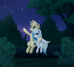 Size: 3000x2700 | Tagged: safe, artist:palibrik, oc, oc only, pegasus, pony, duo, female, forest, high res, male, night, pegasus oc, shooting star, stargazing, tree