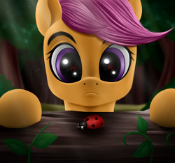 Size: 3200x3000 | Tagged: safe, artist:palibrik, scootaloo, beetle, insect, ladybug, pegasus, pony, g4, cute, cutealoo, female, filly, foal, forest, high res, solo, tree