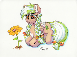 Size: 3581x2682 | Tagged: safe, artist:dandy, oc, oc only, oc:sylvia evergreen, pegasus, pony, :3, braided pigtails, chest fluff, copic, ear fluff, female, flower, freckles, hair tie, high res, lying down, marker drawing, pale belly, pegasus oc, solo, traditional art, white belly, wings