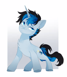 Size: 2454x2820 | Tagged: safe, artist:irusumau, oc, oc only, oc:solar gizmo, pony, unicorn, abstract background, blue eyes, chest fluff, ear fluff, eyebrows, full body, high res, hooves, horn, male, passepartout, raised eyebrow, smug, solo, stallion, standing, tail, three quarter view, two toned mane, two toned tail, unicorn oc
