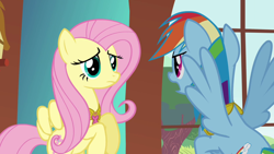 Size: 1920x1080 | Tagged: safe, screencap, fluttershy, rainbow dash, pegasus, pony, g4, keep calm and flutter on, season 3, 1080p, duo, element of kindness, female, looking at each other, looking at someone, mare, open mouth, spread wings, wings