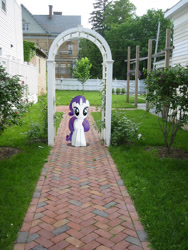 Size: 600x800 | Tagged: safe, artist:willyvwj, rarity, pony, unicorn, g4, female, irl, looking at you, photo, ponies in real life