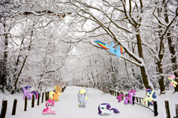 Size: 1536x1020 | Tagged: safe, artist:willyvwj, applejack, berry punch, berryshine, bon bon, derpy hooves, fluttershy, pinkie pie, rainbow dash, rarity, sweetie drops, twilight sparkle, alicorn, pony, g4, forest background, irl, photo, ponies in real life, road, snow, tree, twilight sparkle (alicorn)