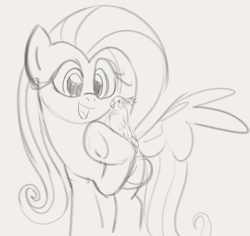 Size: 828x782 | Tagged: safe, artist:dotkwa, fluttershy, bird, cockatiel, pegasus, pony, g4, female, gray background, grayscale, mare, monochrome, open mouth, open smile, simple background, sketch, smiling, solo, spread wings, underhoof, wings