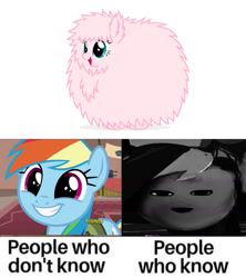 Size: 1280x1440 | Tagged: safe, edit, screencap, rainbow dash, oc, oc:fluffle puff, earth pony, pegasus, pony, g4, stranger than fan fiction, cute, dashabetes, fluffy, meme, ponified meme, traumatized mr. incredible, uncanny valley