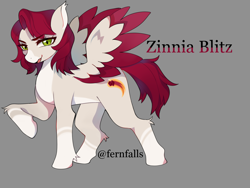 Size: 2604x1960 | Tagged: safe, artist:fernfalls, oc, oc only, oc:zinnia blitz, pegasus, pony, coat markings, colored wings, ear fluff, eyebrows, eyebrows visible through hair, female, gray background, high res, hoof fluff, leg fluff, mare, open mouth, pegasus oc, simple background, socks (coat markings), solo, spread wings, standing, tail, wings