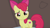 Size: 1280x720 | Tagged: safe, screencap, apple bloom, earth pony, pony, g4, hearthbreakers, my little pony: friendship is magic, season 5, adorabloom, blushing, cute, female, filly, foal, looking at you, solo