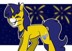 Size: 3508x2480 | Tagged: safe, artist:jellysketch, oc, oc only, oc:seigwestwood, pony, unicorn, bandana, eyes closed, fireworks, happy new year, high res, holiday, male, smiling, solo, stars