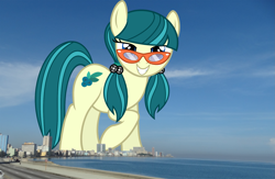 Size: 1861x1216 | Tagged: safe, artist:slb94, artist:thegiantponyfan, juniper montage, earth pony, pony, g4, cuba, equestria girls ponified, female, giant pony, giant/macro earth pony, giantess, glasses, havana, highrise ponies, irl, juniper's cutie mark, macro, mare, mega giant, photo, ponies in real life, ponified