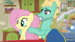 Size: 640x360 | Tagged: safe, screencap, fluttershy, zephyr breeze, pegasus, pony, flutter brutter, g4, season 6, alternate hairstyle, animated, brother and sister, duo, eyes closed, female, floppy ears, gif, gifs.com, hairstyle, male, mare, siblings, smiling, stallion