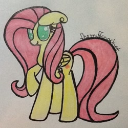 Size: 640x640 | Tagged: safe, artist:themuffinartist, fluttershy, pegasus, pony, ears back, female, folded wings, full body, hooves, mare, no pupils, raised hoof, shy, solo, standing, tail, traditional art, wings