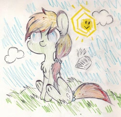 Size: 2263x2186 | Tagged: safe, artist:foxtrot3, oc, oc only, oc:dappled sunshine, earth pony, pony, cloud, crayon, high res, scribble, solo, sun, traditional art