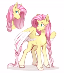 Size: 3584x4096 | Tagged: safe, artist:buvanybu, fluttershy, pegasus, pony, g4, braid, cloven hooves, colored wings, female, high res, looking away, mare, no pupils, profile, solo, spread wings, standing, three quarter view, turned head, two toned wings, unshorn fetlocks, wings