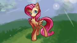 Size: 3840x2160 | Tagged: safe, artist:alexsavenije, fluttershy, pegasus, pony, g4, grass, grass field, high res, solo, sunshine