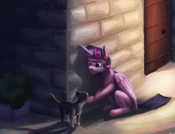 Size: 3250x2500 | Tagged: safe, artist:vezja, twilight sparkle, alicorn, cat, pony, g4, brick wall, crouching, door, female, high res, horn, mare, petting, plant, sitting, street, twilight sparkle (alicorn), wings
