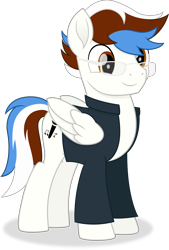 Size: 3335x4919 | Tagged: safe, artist:cirillaq, oc, oc only, oc:soul beat, pegasus, pony, absurd resolution, clothes, folded wings, full body, glasses, hooves, male, multicolored mane, multicolored tail, pegasus oc, shadow, shirt, simple background, smiling, solo, stallion, standing, tail, three quarter view, transparent background, vector, wings