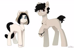 Size: 4096x2655 | Tagged: safe, artist:ev04ka, artist:ev04kaa, oc, oc:aquarius, oc:eva, earth pony, pony, rcf community, reference sheet