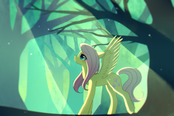 Size: 1500x1000 | Tagged: safe, artist:dddreamdraw, fluttershy, pegasus, pony, g4, crepuscular rays, forest, light, solo, tree