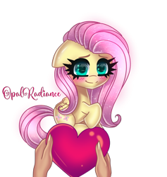 Size: 2160x2280 | Tagged: safe, artist:opal_radiance, fluttershy, pegasus, pony, g4, cute, female, floppy ears, heart, high res, holiday, looking at you, love, mare, shyabetes, simple background, smiling, smiling at you, solo, transparent background, valentine, valentine's day