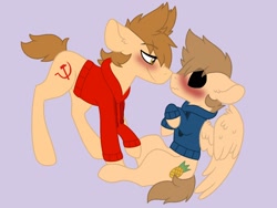 Size: 1024x768 | Tagged: safe, artist:scarecrowkitty, derpibooru exclusive, earth pony, pegasus, pony, base used, black sclera, blushing, blushing profusely, boop, clothes, duo, duo male, eddsworld, floppy ears, gay, hoodie, imminent kissing, looking at each other, looking at someone, male, noseboop, ponified, purple background, simple background, smiling, tom (eddsworld), tomtord, tord (eddsworld)