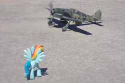 Size: 4608x3072 | Tagged: safe, artist:dingopatagonico, rainbow dash, pegasus, pony, g4, fw-190, photo, world war ii