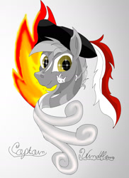 Size: 1275x1752 | Tagged: safe, artist:silbernepegasus, oc, pegasus, pony