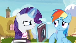 Size: 1920x1080 | Tagged: safe, screencap, rainbow dash, rarity, g4, the end in friend