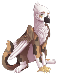 Size: 2900x3800 | Tagged: safe, artist:monnarcha, oc, oc:erin steele, griffon, high res, simple background, solo, transparent background