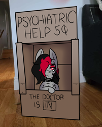 Size: 1080x1344 | Tagged: safe, artist:lazerblues, oc, oc:miss eri, earth pony, pony, black and red mane, hair over one eye, irl, peanuts (comic), photo, sign, text, two toned mane