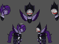 Size: 2177x1615 | Tagged: safe, artist:thecommandermiky, oc, pegasus, pony, clothes, helmet, reference sheet, robe, solo