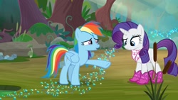 Size: 1920x1080 | Tagged: safe, screencap, rainbow dash, rarity, g4, the end in friend, boots, glitter boots, shoes