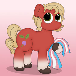 Size: 1280x1280 | Tagged: safe, artist:milzyywilzyy, sprout cloverleaf, earth pony, pony, g5, my little pony: a new generation, coat markings, colored hooves, female, gender headcanon, gradient background, hair tie, hoof hold, hooves, pride, pride flag, shadow, smiling, socks (coat markings), solo, standing, tail, trans female, transgender, transgender pride flag, unshorn fetlocks