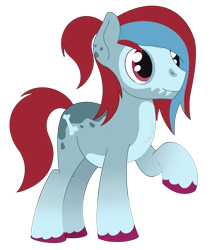 Size: 1717x1962 | Tagged: safe, artist:dyonys, oc, oc only, oc:bone marrow, earth pony, pony, bone, chest fluff, coat markings, earth pony oc, full body, hooves, male, ponytail, raised hoof, red tail, simple background, solo, stallion, standing, tail, transparent background, two toned mane, unshorn fetlocks