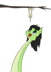 Size: 1000x1414 | Tagged: safe, artist:happy harvey, oc, oc:filly anon, cat, original species, snake, snake pony, exclamation point, fangs, female, filly, forked tongue, hanging, kitten, looking up, open mouth, phone drawing, simple background, slit pupils, species swap, transparent background, tree, tree branch